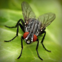 /album/certificadoenergetico5/photolia-a01-jpg/