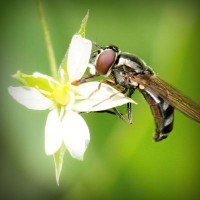 /album/certificadoenergetico5/photolia-a02-jpg/