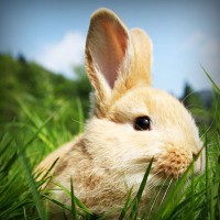 /album/certificadoenergetico5/photolia-a03-jpg/