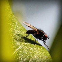 /album/certificadoenergetico5/photolia-a04-jpg/