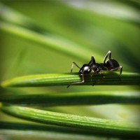 /album/certificadoenergetico5/photolia-a05-jpg/