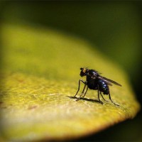 /album/certificadoenergetico5/photolia-a07-jpg/