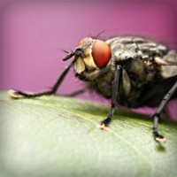 /album/certificadoenergetico5/photolia-a08-jpg/